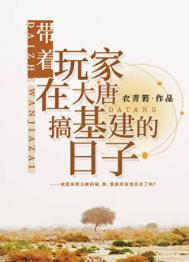 带着玩家在大唐搞基建的日子